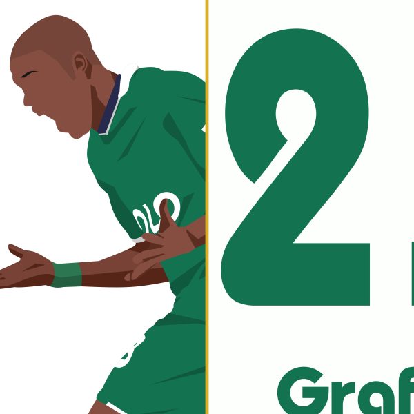 Grafite Goal Wolfsburg vs Bayern Munich 2008-2009 Bundesliga - Poster 3 Alternate
