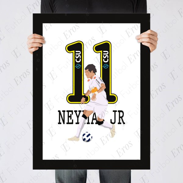 Neymar JR Solo Goal Puskas Award Santos vs Flamengo 2011 Brasileiro - Poster 2