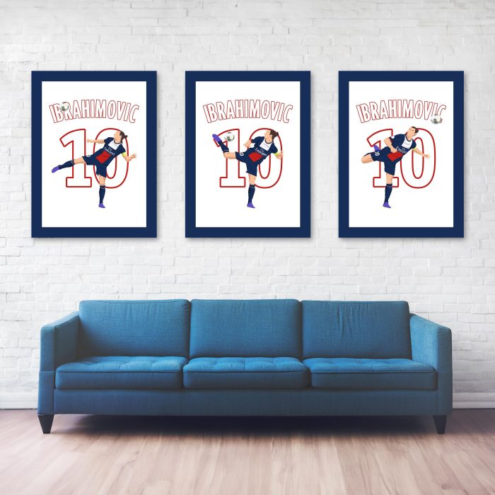 Zlatan Ibrahimovic Spinning Backheel Goal PSG vs Bastia 2013-2014 Ligue 1 - Full Series Website